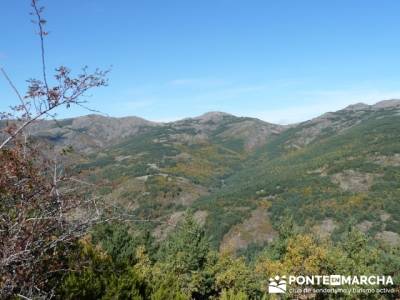 excursiones de senderismo, Parque Natural del Hayedo de Tejera Negra; excursion cerca de madrid